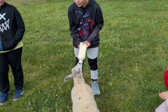 IMG-20260605-WA0098
