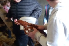 IMG-20230323-WA0004
