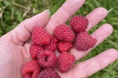 25af9241-a1cc-4f80-9c3d-0e598592f7f7