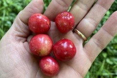 6742e0f2-78b4-412e-beee-2beee47fdcca