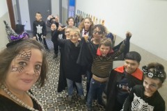 312366896_669783874469124_12383541515441209_n
