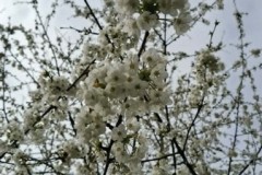 2b25eab8-b063-4d0b-8919-ed7c96faded4