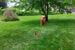 IMG-20240702-WA0043