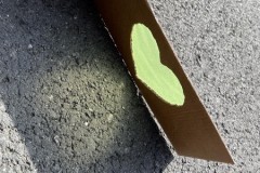 66204016-79e2-4959-ad59-61d059daa777