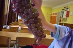 IMG-20230712-WA0350