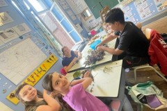 IMG-20250916-WA0006