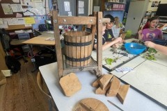 IMG-20250916-WA0009