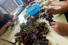 IMG-20250916-WA0012