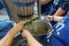 IMG-20250916-WA0036