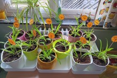 IMG-20250619-WA0508