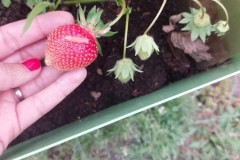 IMG-20250619-WA0130