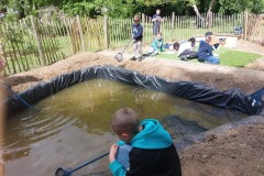 IMG-20250619-WA0151