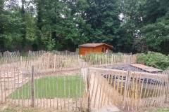 IMG-20250619-WA0168