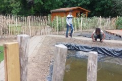 IMG-20250619-WA0175