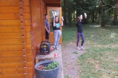 IMG-20250619-WA0233