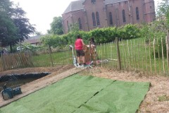 IMG-20250619-WA0234