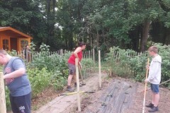 IMG-20250619-WA0252