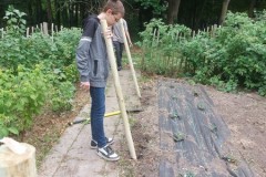 IMG-20250619-WA0268