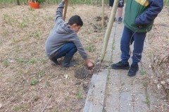 IMG-20250619-WA0269