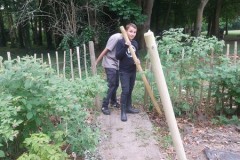 IMG-20250619-WA0273