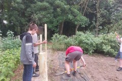 IMG-20250619-WA0278