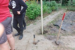 IMG-20250619-WA0295