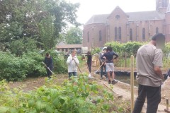 IMG-20250619-WA0303