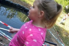 IMG-20250619-WA0317