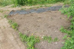 IMG-20250619-WA0321