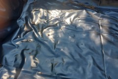 IMG-20250619-WA0324