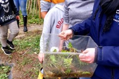 IMG-20251010-WA0005