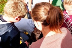 IMG-20251010-WA0018