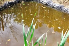 IMG-20251010-WA0034