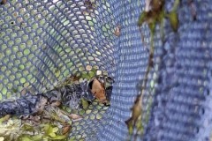 IMG-20260920-WA0004