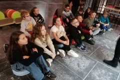 IMG-20251013-WA0005