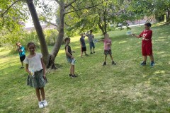 IMG-20250701-WA0058
