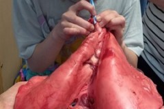 IMG-20230712-WA0091