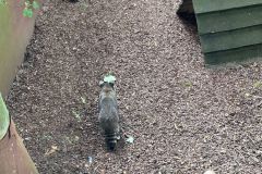 1_201874060_151016063647892_2071166800267038595_n