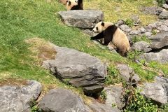 203436422_397130281575386_4930351590012319140_n