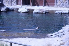 IMG_4557