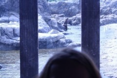 IMG_4567