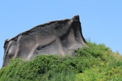 IMG_4709