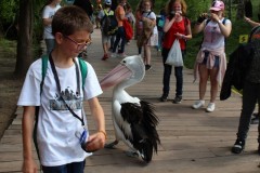 IMG_4780
