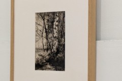 IMG-20251016-WA0029