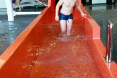 IMG-20251104-WA0049