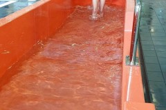 IMG-20251104-WA0053