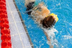 IMG-20251104-WA0058