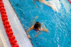 IMG-20251104-WA0060