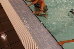 IMG-20251104-WA0095