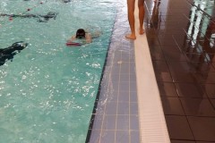 IMG-20251118-WA0045